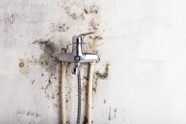 Best Water Damage Restoration  in Frazer, PA