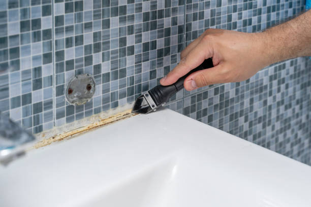 Best Mold Testing  in Frazer, PA